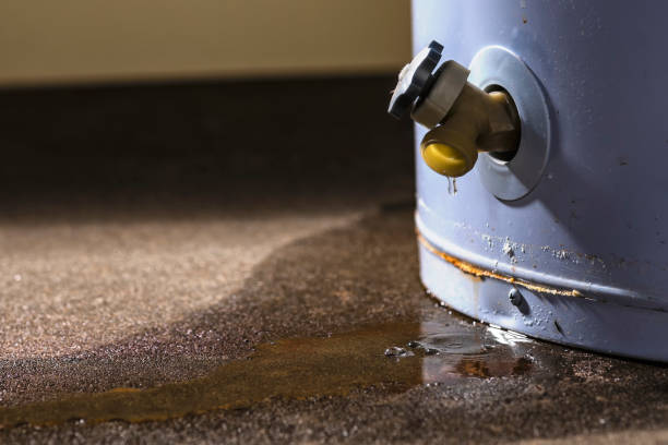 Best Emergency water damage restoration  in Lake Arrowhead, CA