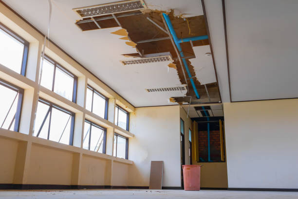 Best Flooded house restoration  in Lake Arrowhead, CA