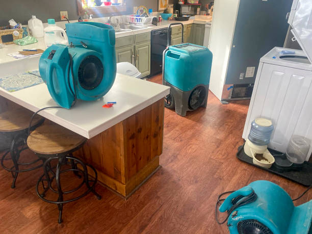 Best Carpet water damage restoration  in Lake Arrowhead, CA