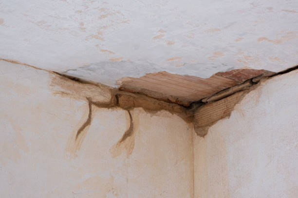 Best Water damage restoration specialists  in Lake Arrowhead, CA