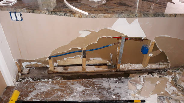 Best Water damage restoration near me  in Lake Arrowhead, CA
