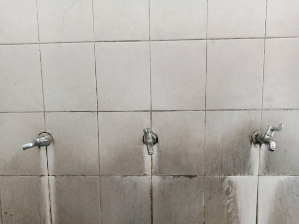 Best Water damage cleanup near me  in Lake Arrowhead, CA