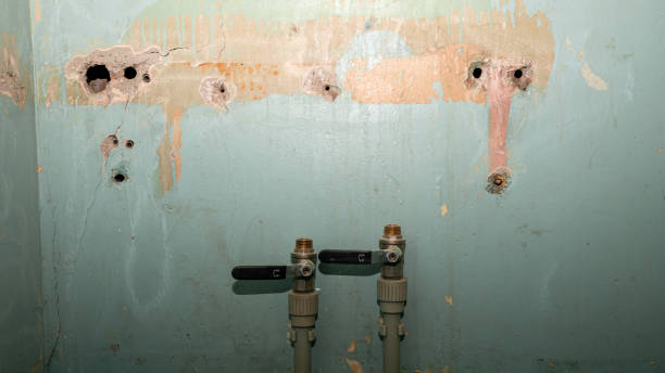 Best 24/7 water damage repair  in Lake Arrowhead, CA