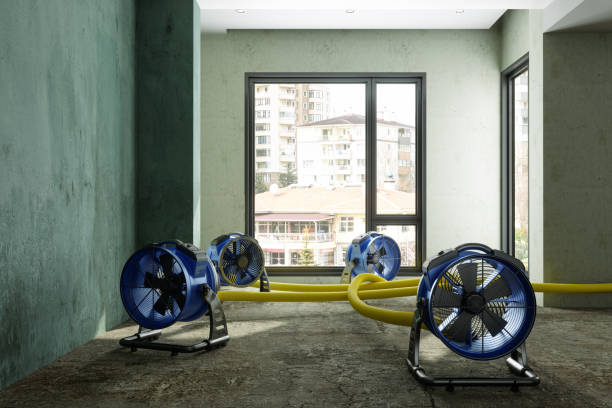 Best Sewage cleanup and water damage restoration  in Lake Arrowhead, CA