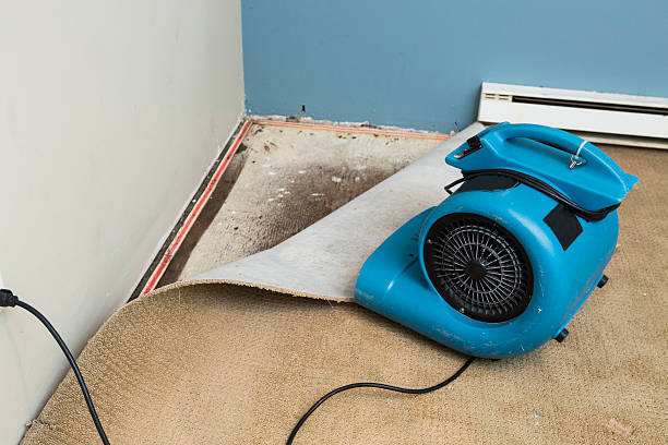 Best Basement water damage restoration  in Lake Arrowhead, CA